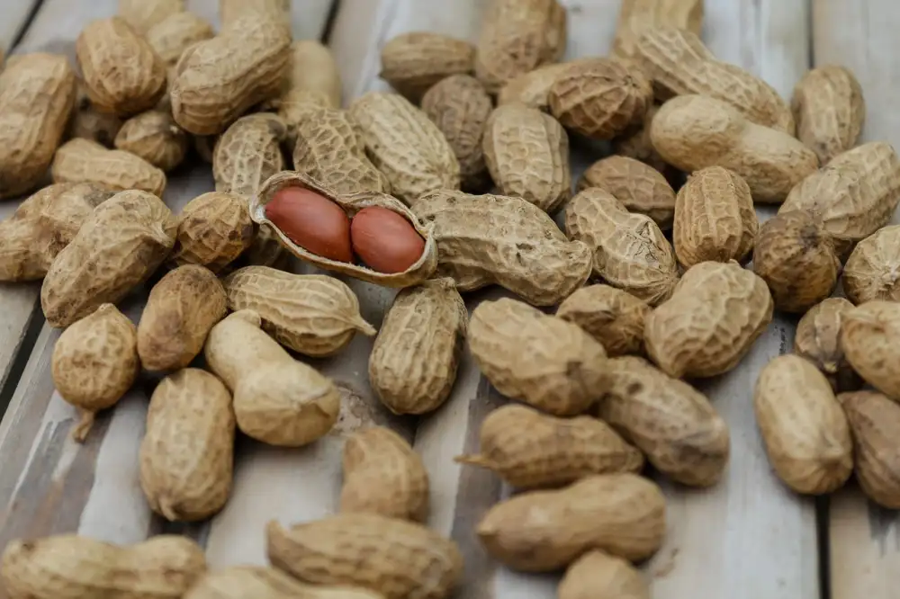 Protein A Hubnutí