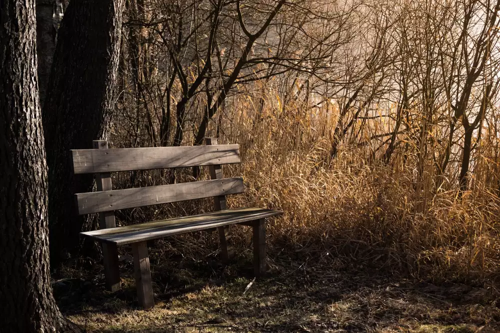 Technogym Bench