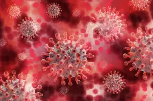 Czech Virus Multivitamín